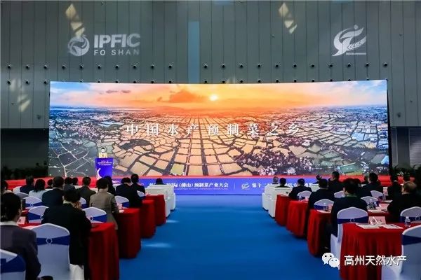 1729699597473959.jpg 3.jpg