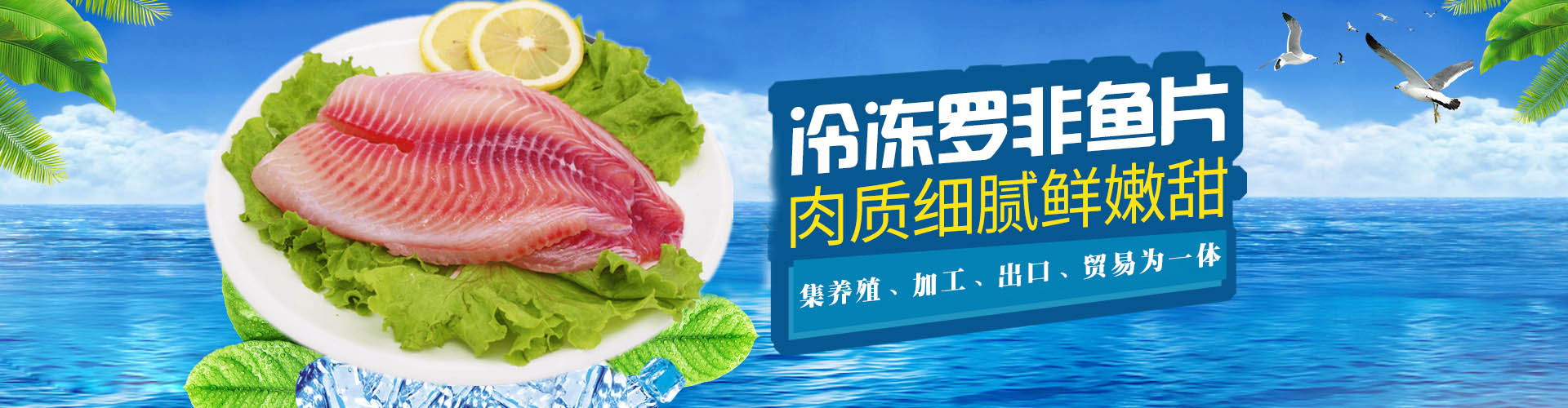 星空体育网页版官网中国有限公司