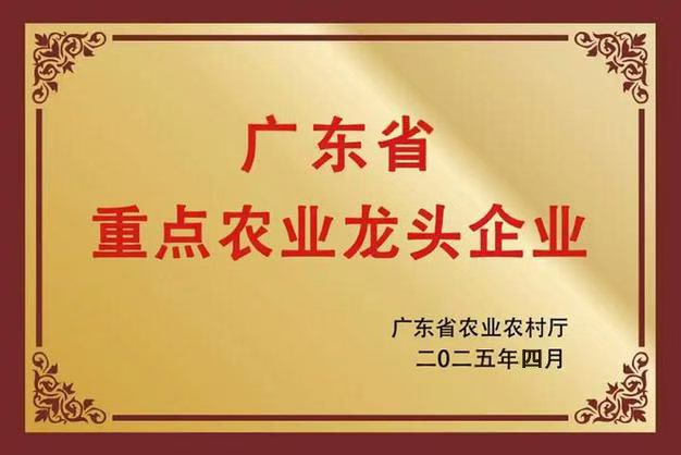 省龙头企业