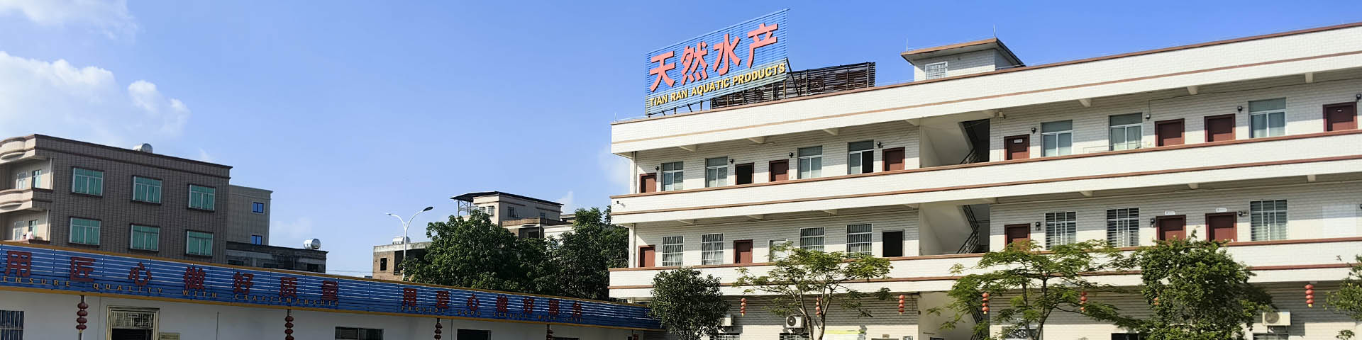 星空体育网页版官网中国有限公司